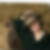 Profilbild von Birte Lohmar