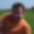 Profilbild von Frank Siekmann