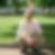 Profilbild von Patrick Sauer