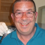 Profilfoto von Toni Geißler