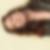 Profilbild von Anita Spies