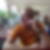 Profilbild von Thomas Auras