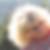 Profilbild von Resi Barthel