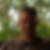 Profilbild von Joachim Pieper