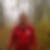 Profilbild von Gunther Lamprecht