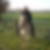 Profilbild von Margret Frintrup