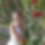 Profilbild von Claudia Lenz