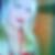Profilbild von Lisa Christine Lange