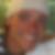 Profilbild von Ronny Seidel