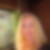 Profilbild von Elvira Fahrion