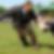 Profilbild von Thorsten Leps