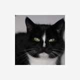 Profilfoto von Christina Brodmerkel