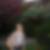 Profilbild von Claudia Glas
