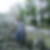 Profilbild von Andreas Hagedoorn