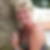 Profilbild von Martina Johann