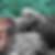 Profilbild von Delia Poesche