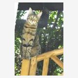 Profilfoto Gerhild Miller Profilfoto von Gerhild Miller