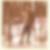 Profilbild von Richard Schmid