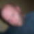 Profilbild von Marcel Wlost