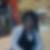 Profilbild von Hatice Gelen Emir