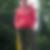 Profilbild von Daniela Bernowitz