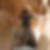 Profilbild von Gerlinde Spill