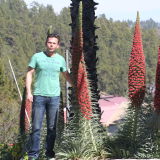 Profilfoto von Andre Werner