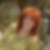 Profilbild von Andrea Wiening