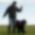 Profilbild von Peer Fuchs