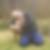 Profilbild von Thomas Büll