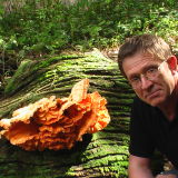 Profilfoto Stefan Joachim Profilfoto von Stefan Joachim