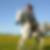 Profilbild von Nicla Hercher