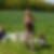 Profilbild von Sylvia Schaper