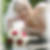 Profilbild von Friederike Schneider