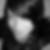 Profilbild von Franziska Donner