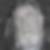 Profilbild von Manfred Karg