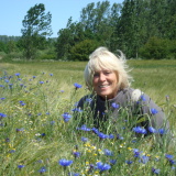 Profilfoto von Anke Sieber-Schwenson