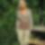 Profilbild von Sandra Vesper