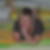 Profilbild von Ina Batten