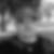Profilbild von Thomas Apoll