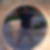 Profilbild von Michael Bergmann