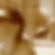 Profilbild von Sandra Ripper