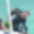Profilbild von Dietmar Riechert