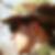 Profilbild von Christian Roedel