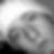 Profilbild von Pawel Durek