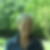 Profilbild von Marlies Schlebach