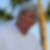 Profilbild von Wolfgang Seifert