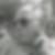 Profilbild von Peter Gogol