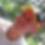Profilbild von Martin Rauch