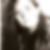 Profilbild von Andrea Voigt